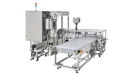 Pre-made Spout Pouch Filler and Capper