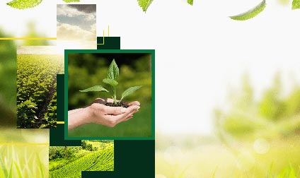 Effective Filling Technologies for Agricultural Chemicals